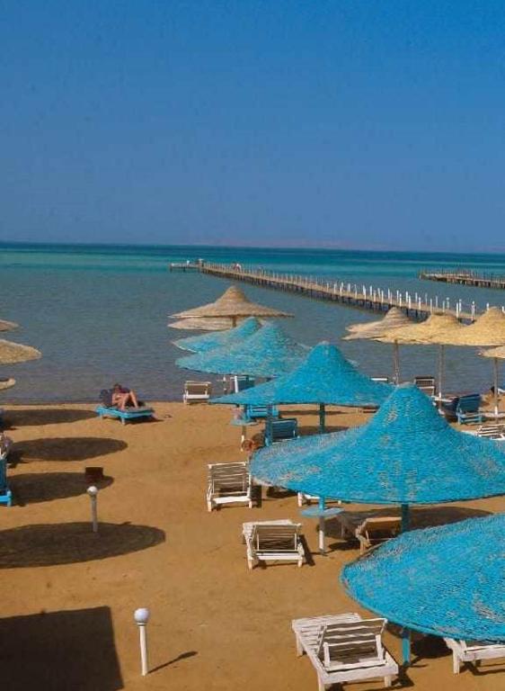المناظر الطبيعية بالقرب من الفندق