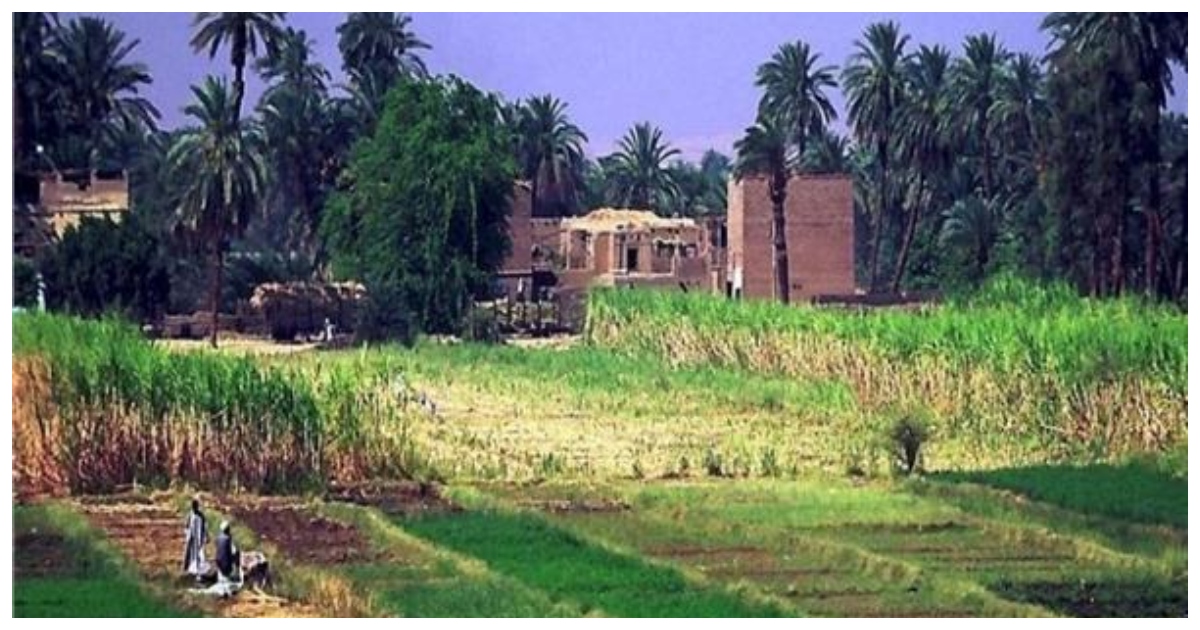 حياة الريف المصري على ضفاف نيل الأقصر
